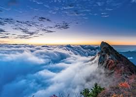 常用脚本6：统计指定SQL没有共享的原因